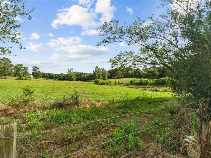 1477 Caylor Road Crandall, GA 30711 - Photo 59 of 64 Gallery Image 59