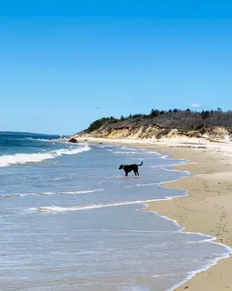 $3,199,000 | 53 Stoney Hill Road, West Tisbury, MA 02568