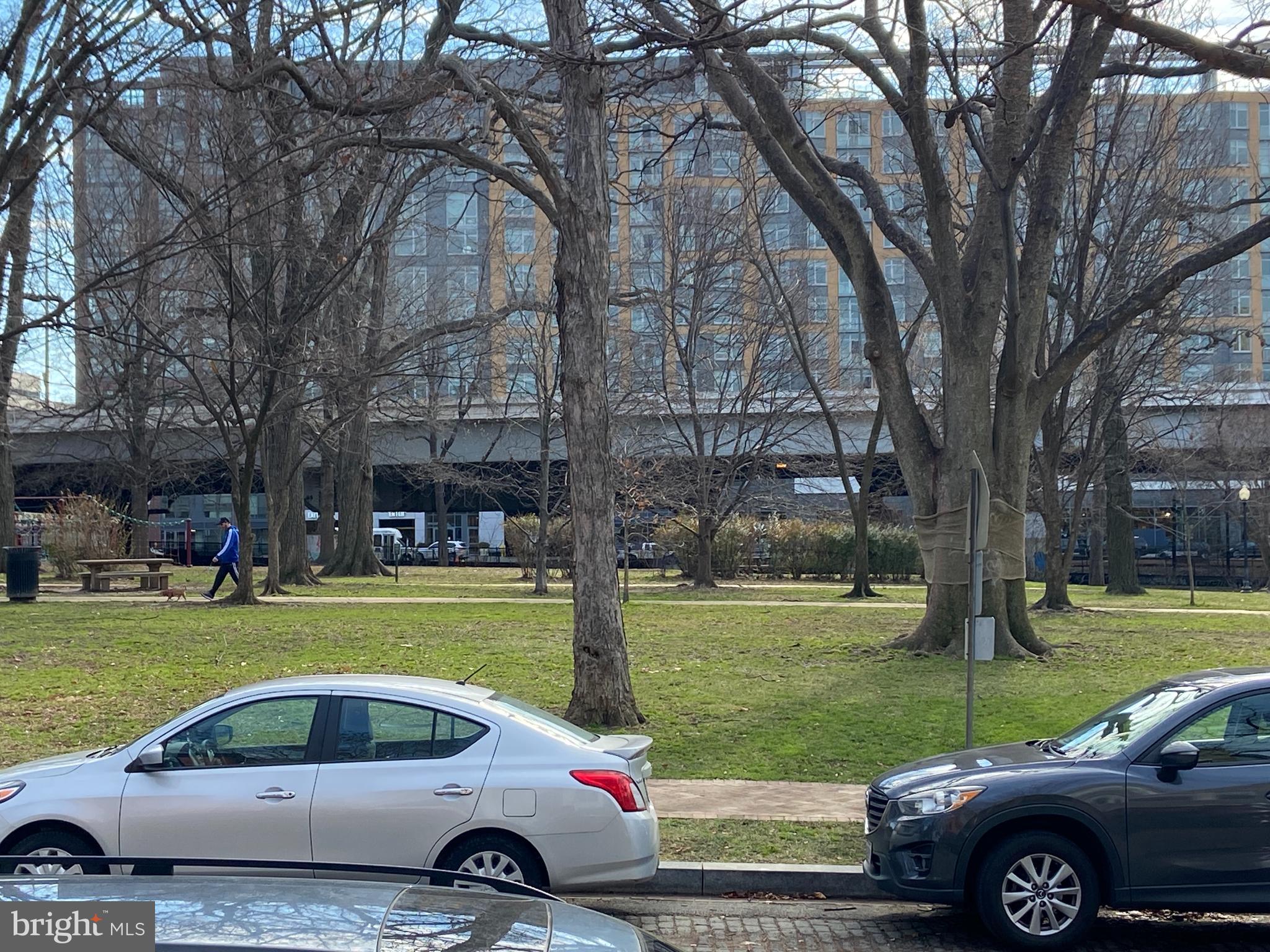 148 F Street Southeast Washington, DC 20003 - Photo 58 of 72 Garfield Park from front steps of 148 F St SE
