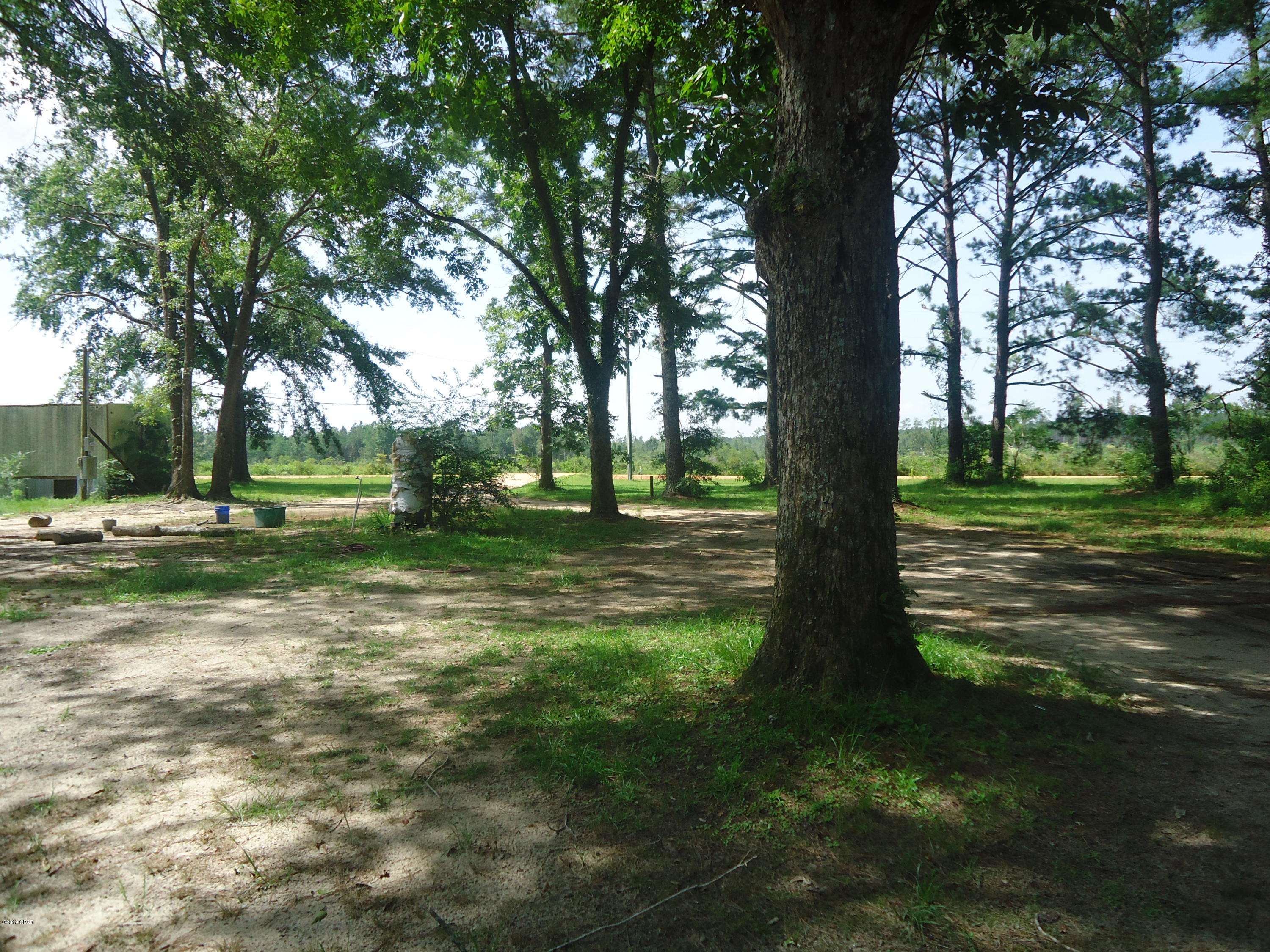 2284 Overpass Road Campbellton, FL 32426 - Photo 3 of 7