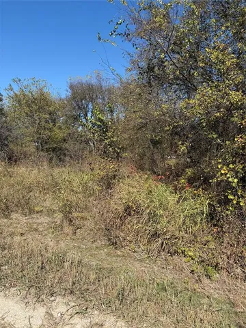 a view of a dry yard with trees all around
