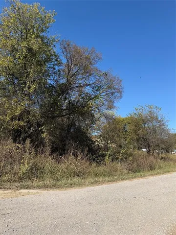 a view of a yard with a tree