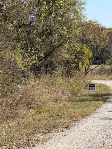 a view of a dry yard with trees
