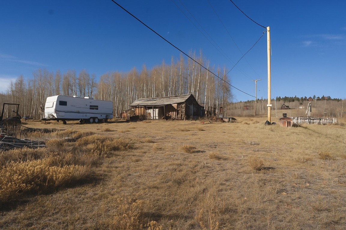 223 Breakneck Pass Road Fairplay, CO 80440 - Photo 4 of 23 a view of a house with a outdoor space