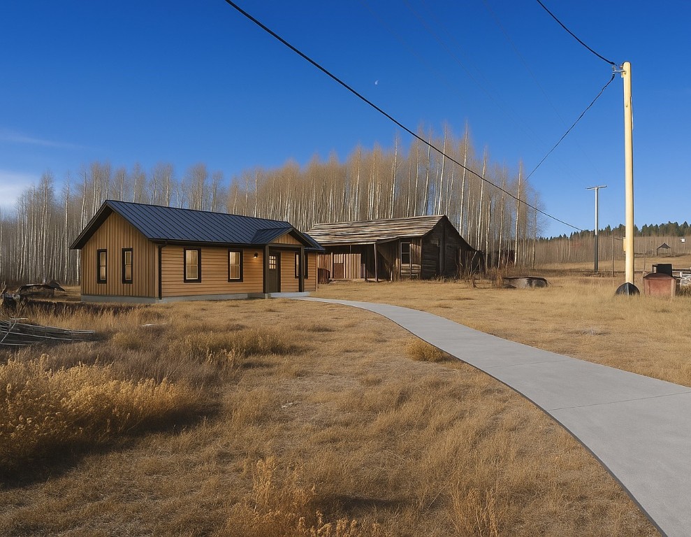223 Breakneck Pass Road Fairplay, CO 80440 - Photo 5 of 23 a front view of a house with a yard