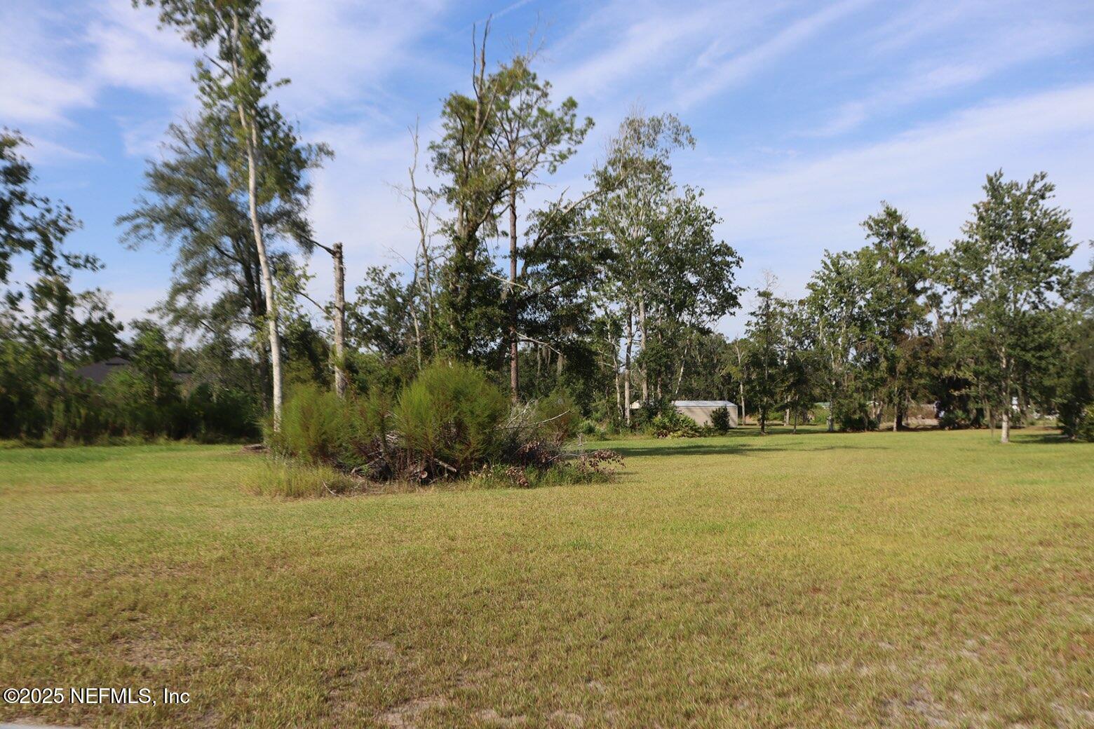 10004 Allene Road Jacksonville, FL 32219 - Photo 5 of 8 a view of outdoor space and yard