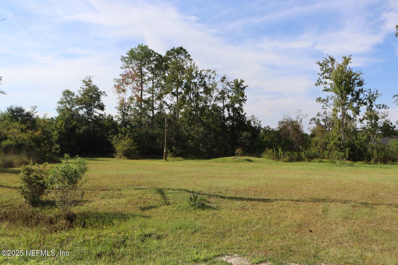 10004 Allene Road Jacksonville, FL 32219 - Photo 6 of 8 a view of field and trees in the background