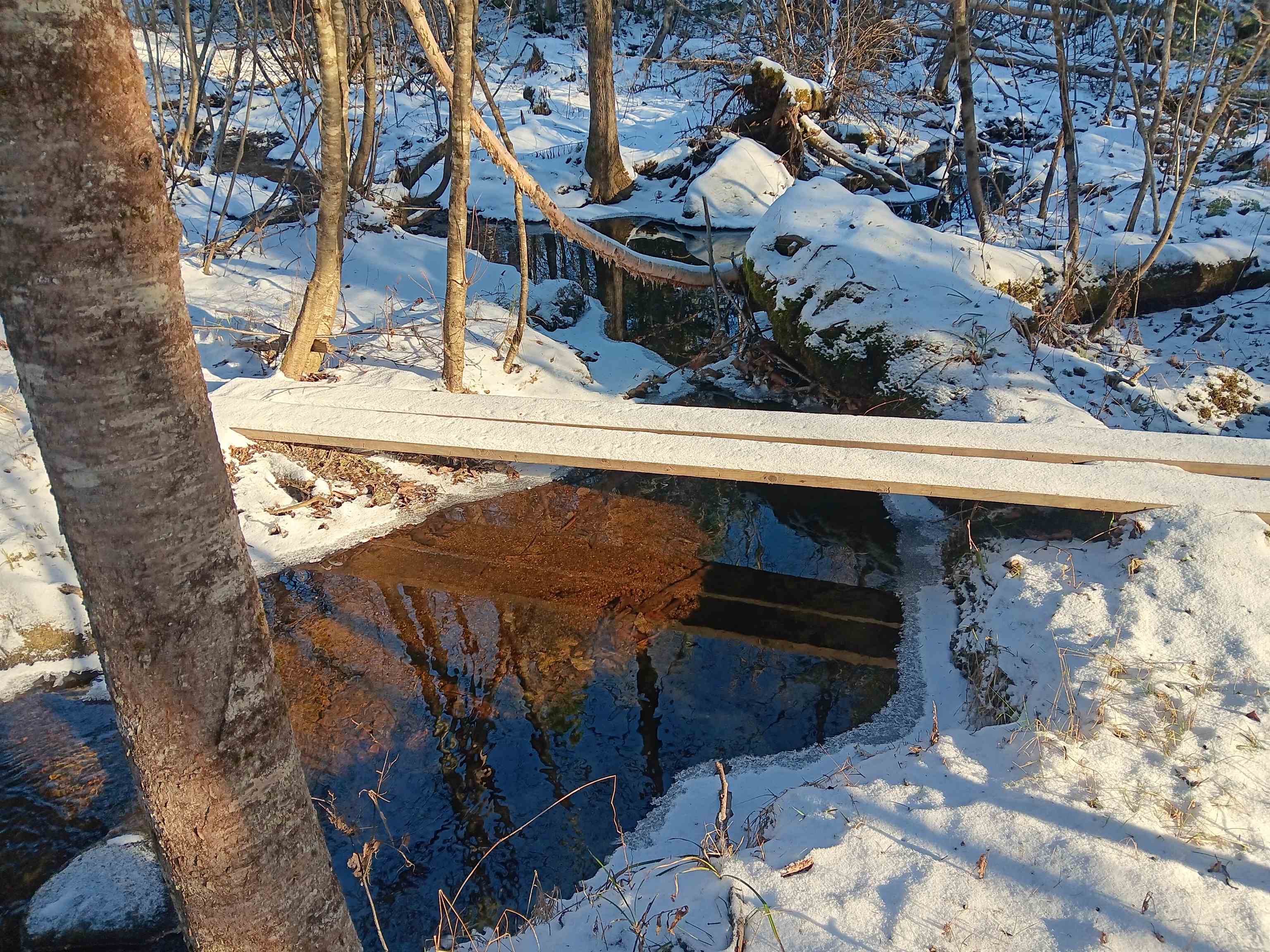 5108 N Road Maidstone, VT 05905 - Photo 30 of 30