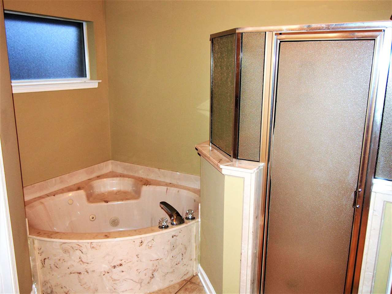 1290 Lagrange Downs Road Cordova, TN 38018 - Photo 11 of 14 Relax in your whirlpool tub