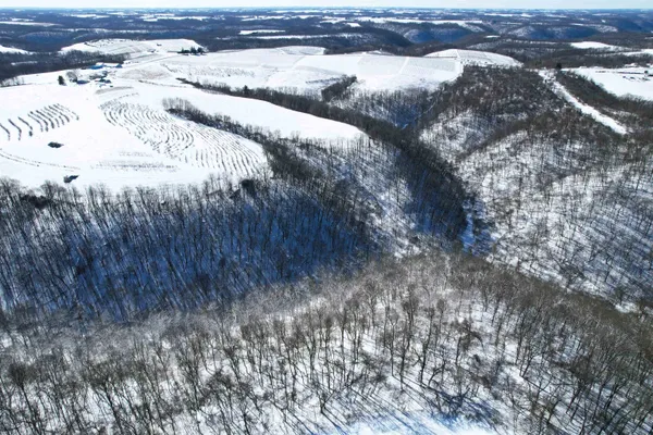 $418,500 | 62-acres State Highway 171, Gays Mills, WI 54631