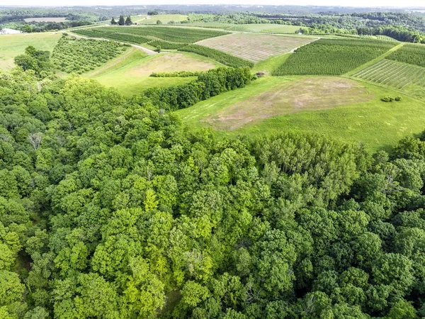 $418,500 | 62-acres State Highway 171, Gays Mills, WI 54631