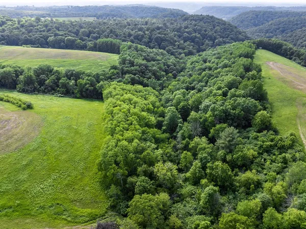 $418,500 | 62-acres State Highway 171, Gays Mills, WI 54631
