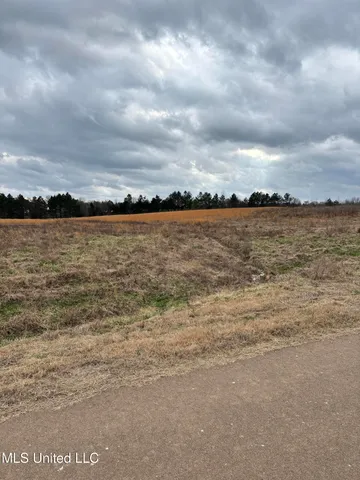 $89,000 | Lot 6 Red Oaks Lane, Red Banks, MS 38661