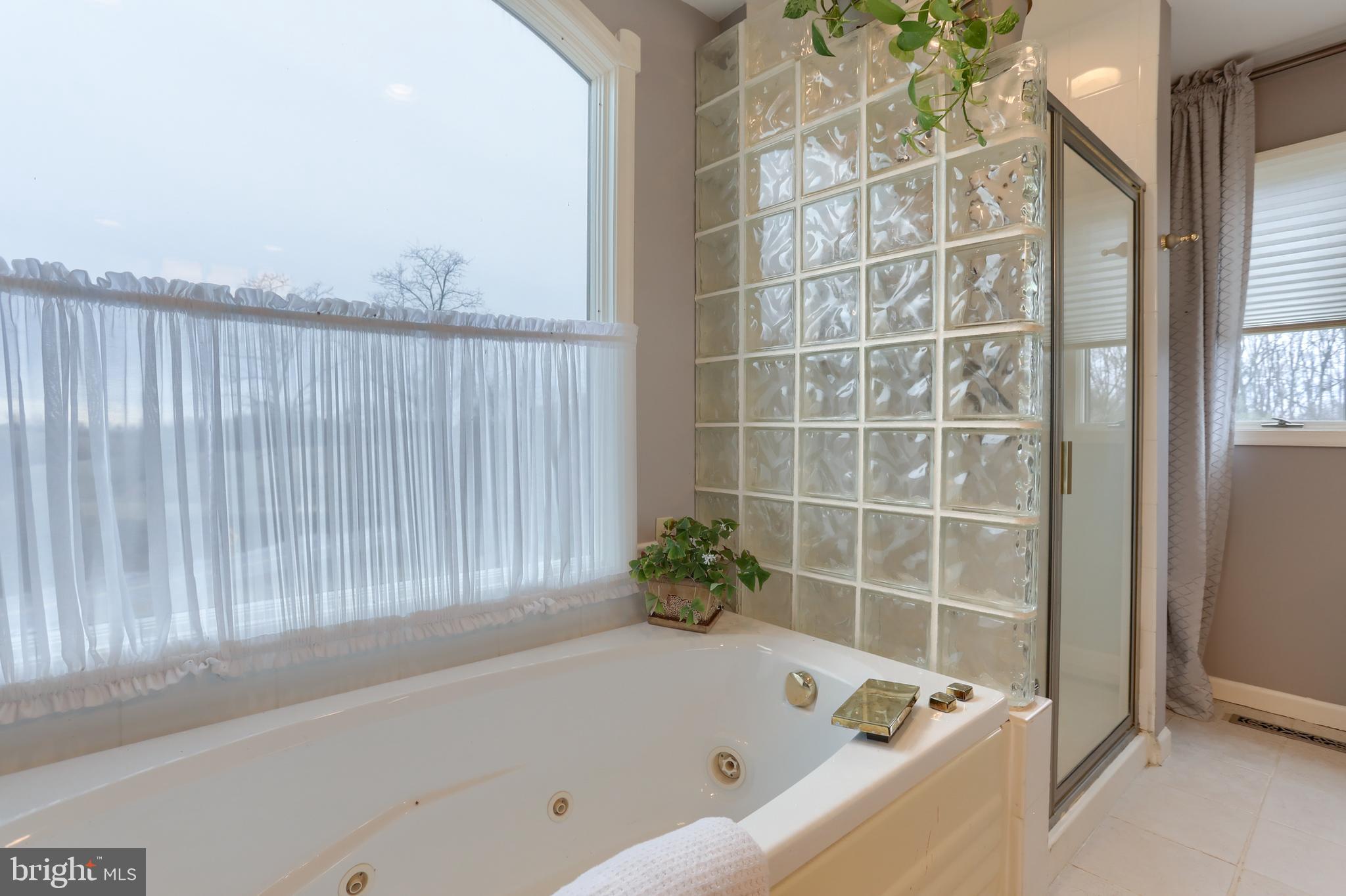 1 Banbury Road Hummelstown, PA 17036 - Photo 42 of 111 Jetted soaking tub