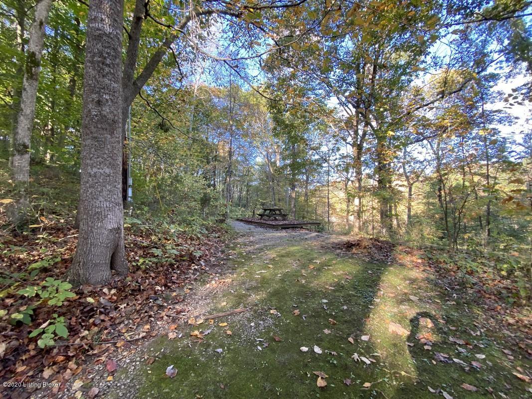 1131 Thomsoan Cemetery 61