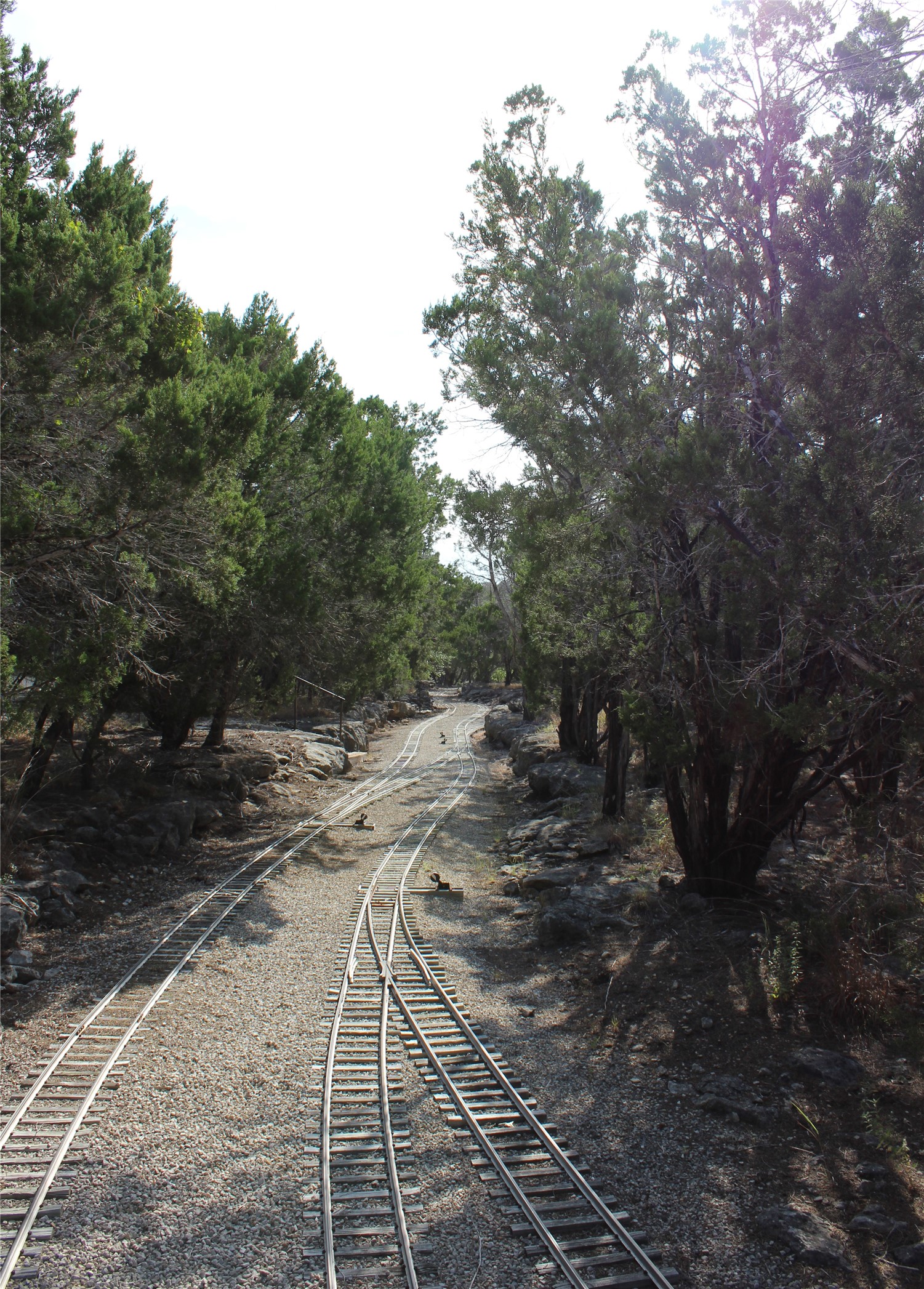 Train tracks through wooded property