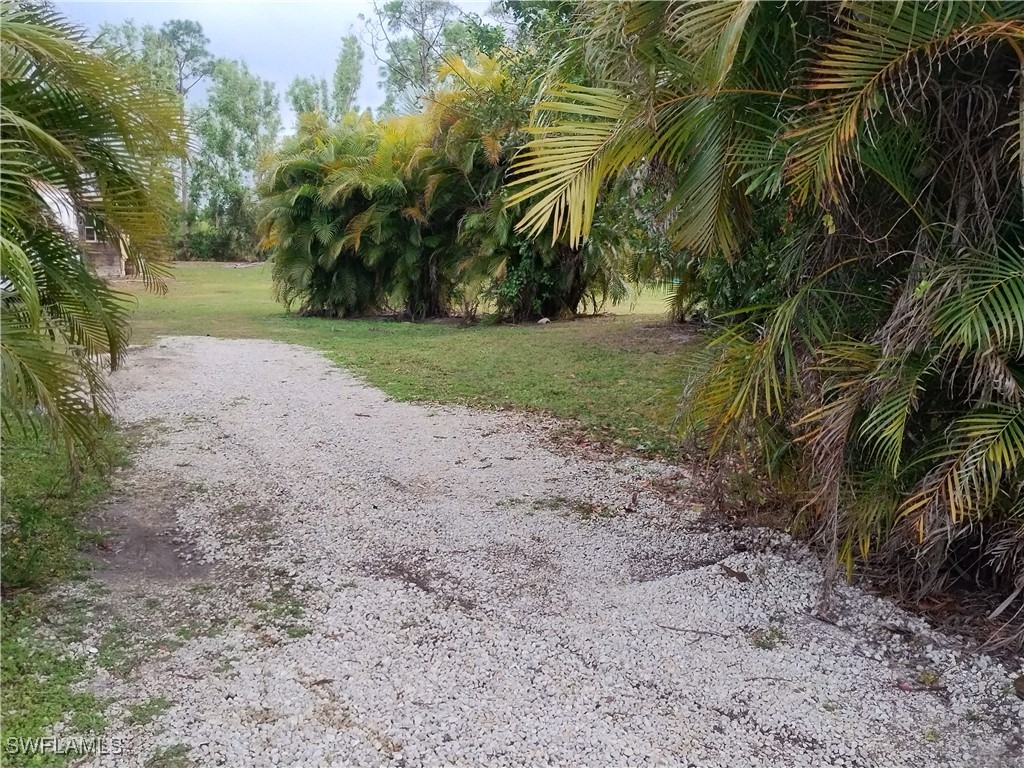 17091 Charlee Road Punta Gorda, FL 33955 - Photo 35 of 44 a view of a yard with plants and trees