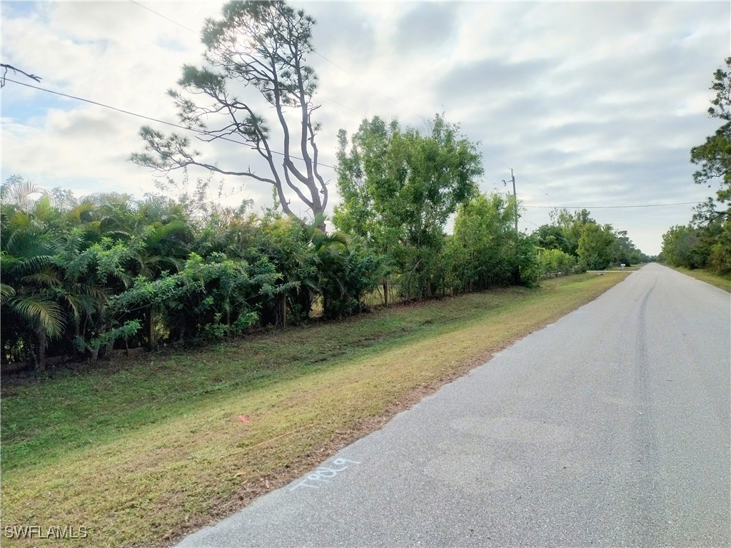 17091 Charlee Road Punta Gorda, FL 33955 - Photo 4 of 44 a view of a yard with potted plants and large trees