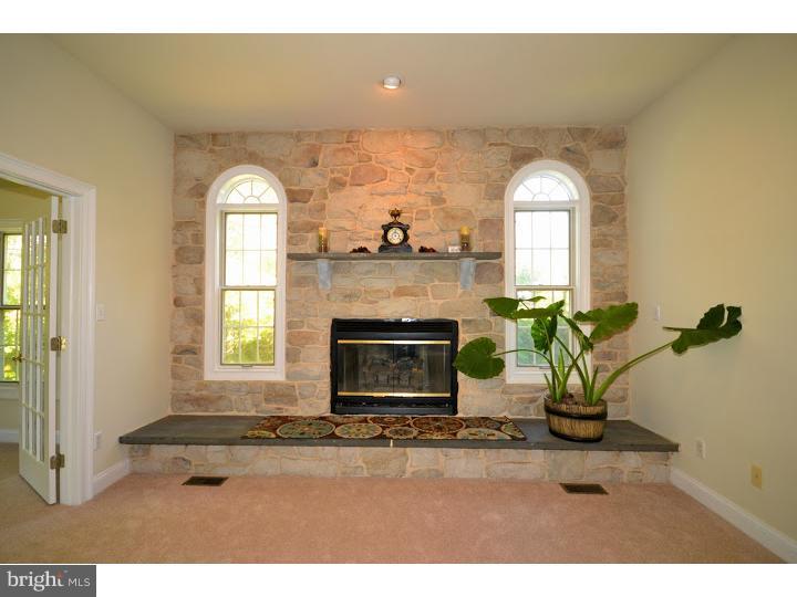 2605 Pickertown Road Warrington, PA 18976 - Photo 18 of 25 Fireplace