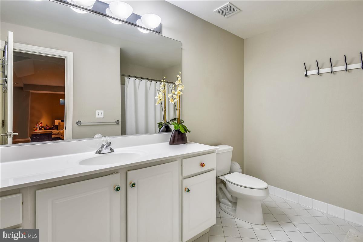 92 Colony Crossing Edgewater, MD 21037 - Photo 28 of 48 Lower Level bathroom