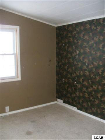 3933 Spielman Road Adrian, MI 49221 - Photo 5 of 10 1017505-4.JPG
