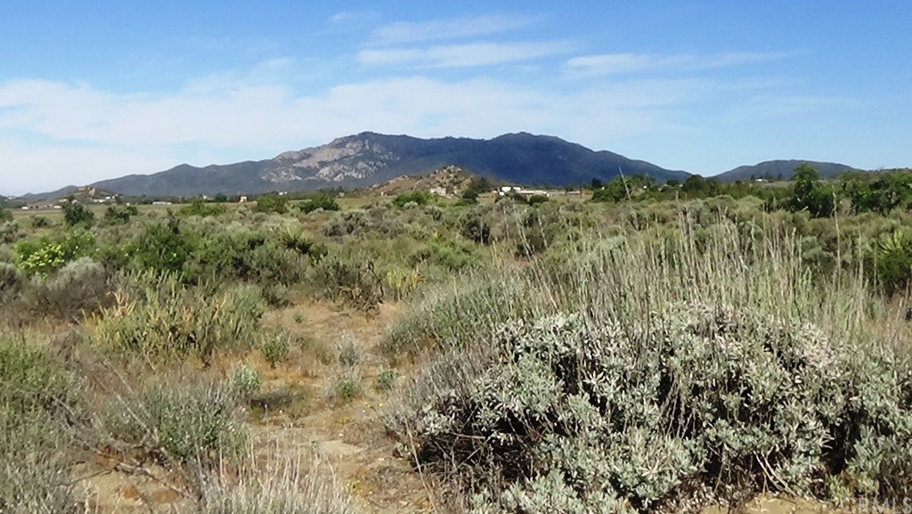 4 Old Forest Road Anza, CA 92539 - Photo 12 of 16