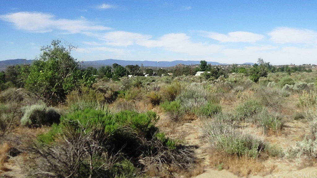 4 Old Forest Road Anza, CA 92539 - Photo 13 of 16