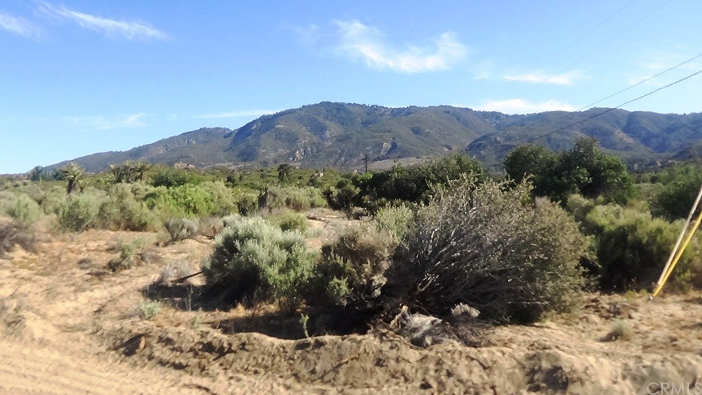 4 Old Forest Road Anza, CA 92539 - Photo 4 of 16
