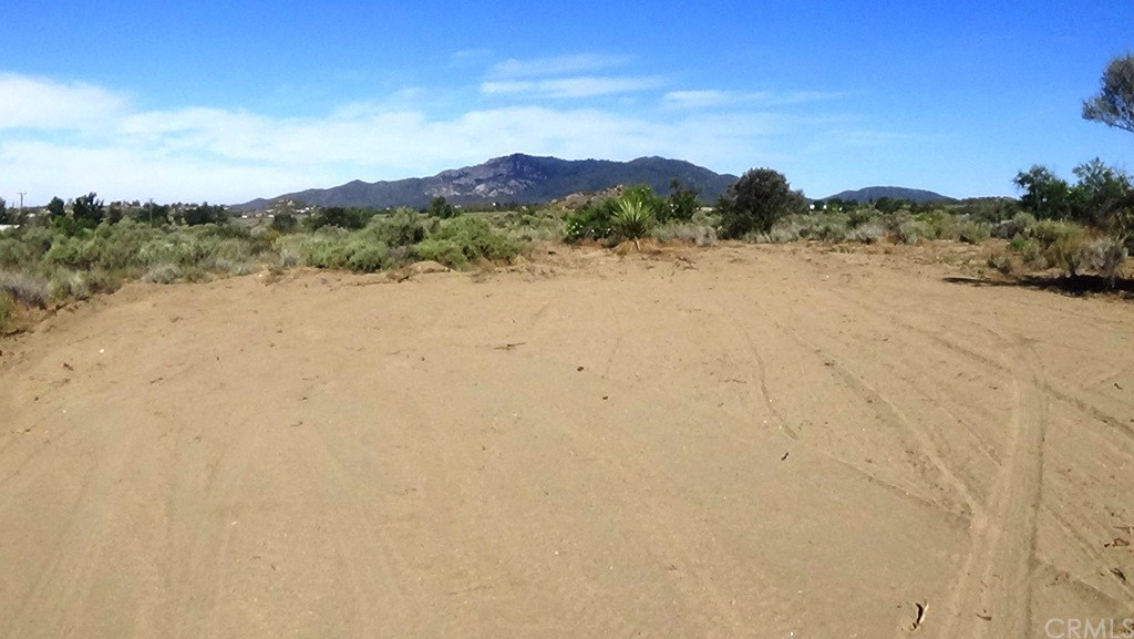 4 Old Forest Road Anza, CA 92539 - Photo 5 of 16