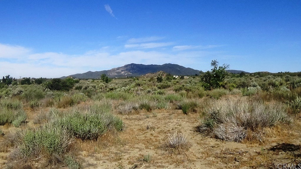 4 Old Forest Road Anza, CA 92539 - Photo 7 of 16