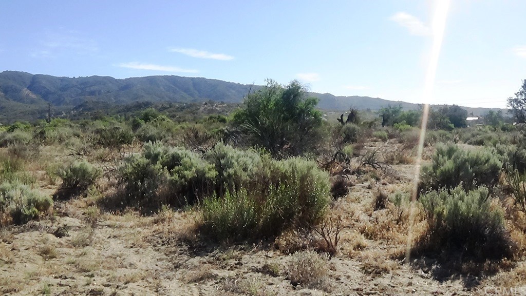 4 Old Forest Road Anza, CA 92539 - Photo 8 of 16