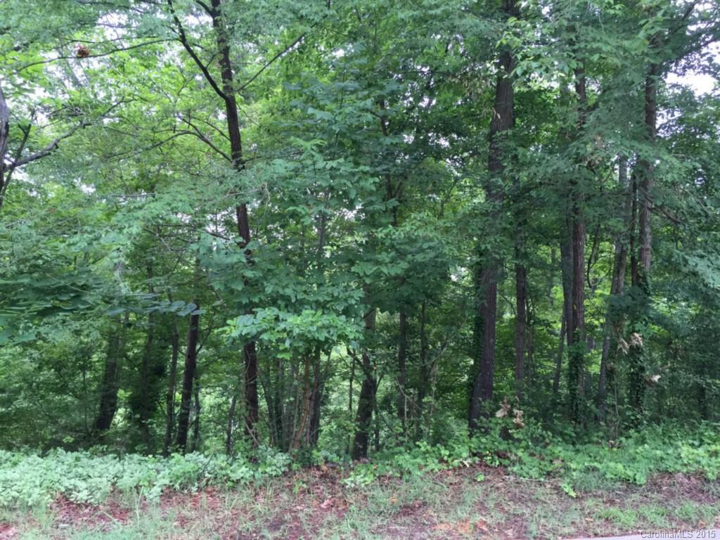 45 Tepa Place Tega Cay, SC 29708 - Photo 2 of 2 Gallery Image 2