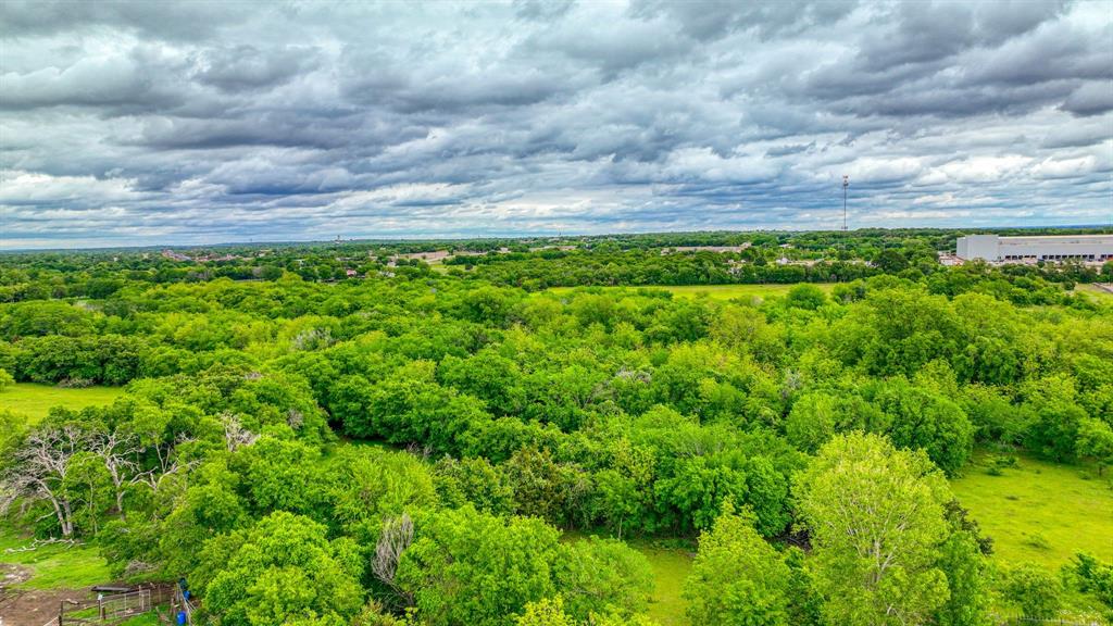 1201 South Briaroaks Road Burleson, TX 76028 - Photo 11 of 40 a view of a yard with an tree