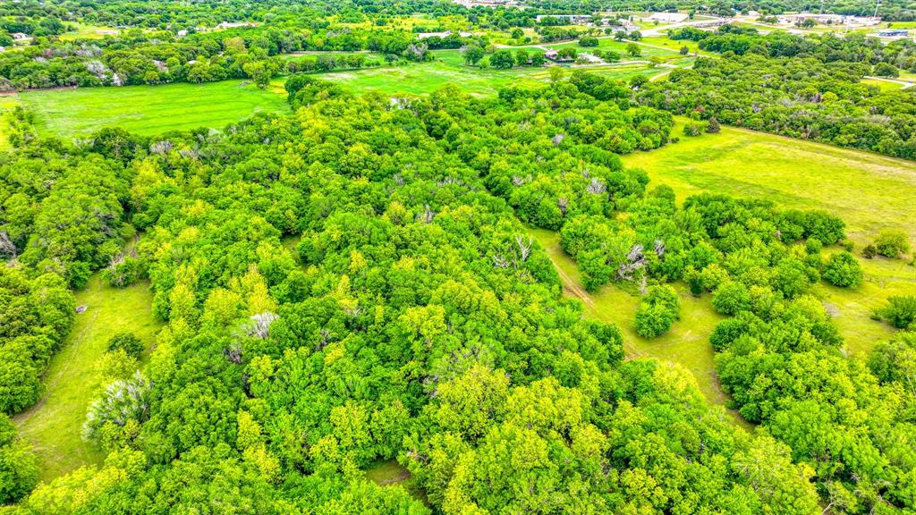1201 South Briaroaks Road Burleson, TX 76028 - Photo 13 of 40 a view of a big yard with large trees