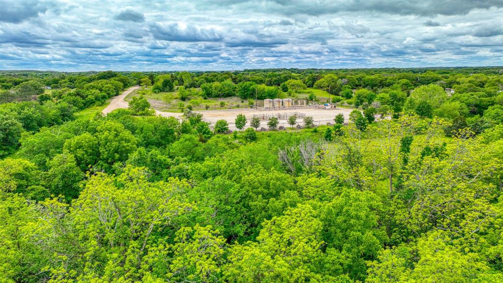 1201 South Briaroaks Road Burleson, TX 76028 - Photo 14 of 40 a view of a garden with a yard