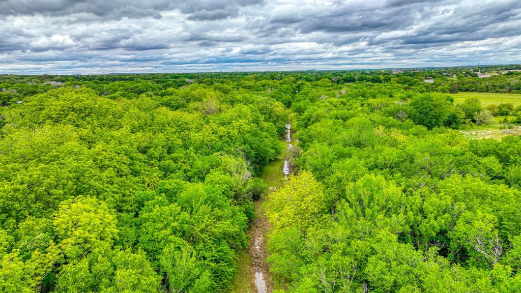 1201 South Briaroaks Road Burleson, TX 76028 - Photo 22 of 40 a view of a bunch of trees and bushes
