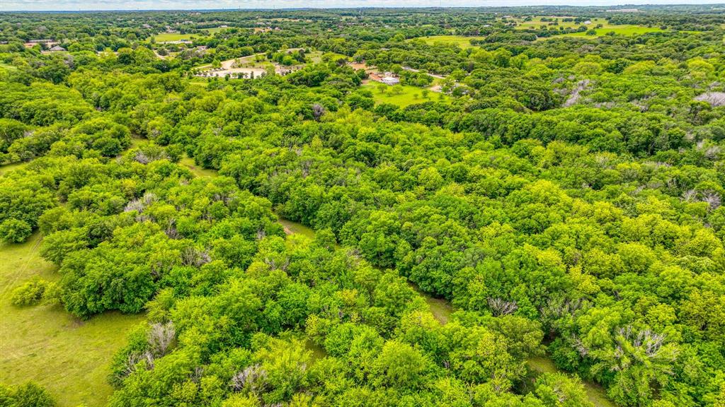 1201 South Briaroaks Road Burleson, TX 76028 - Photo 29 of 40 a view of a large yard with plants and large trees