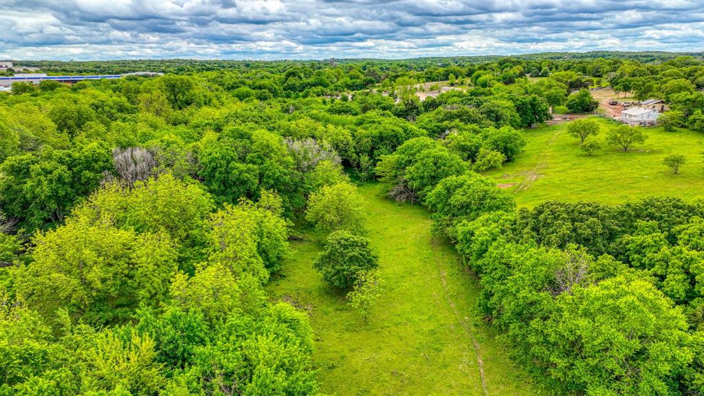 1201 South Briaroaks Road Burleson, TX 76028 - Photo 4 of 40 a view of a garden