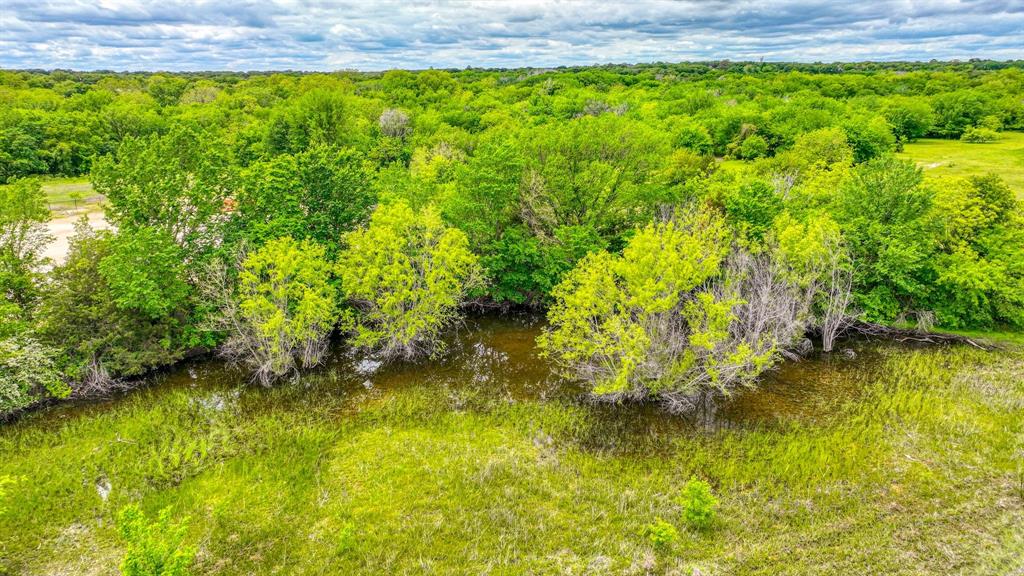 1201 South Briaroaks Road Burleson, TX 76028 - Photo 6 of 40 a view of a garden