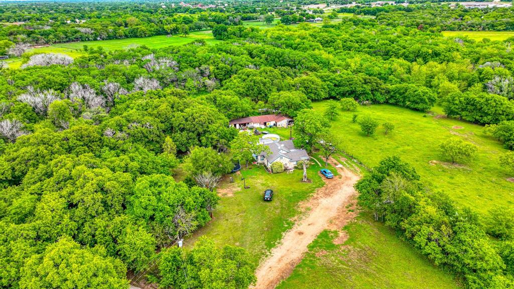 1201 South Briaroaks Road Burleson, TX 76028 - Photo 7 of 40 a lush green forest with lots of trees