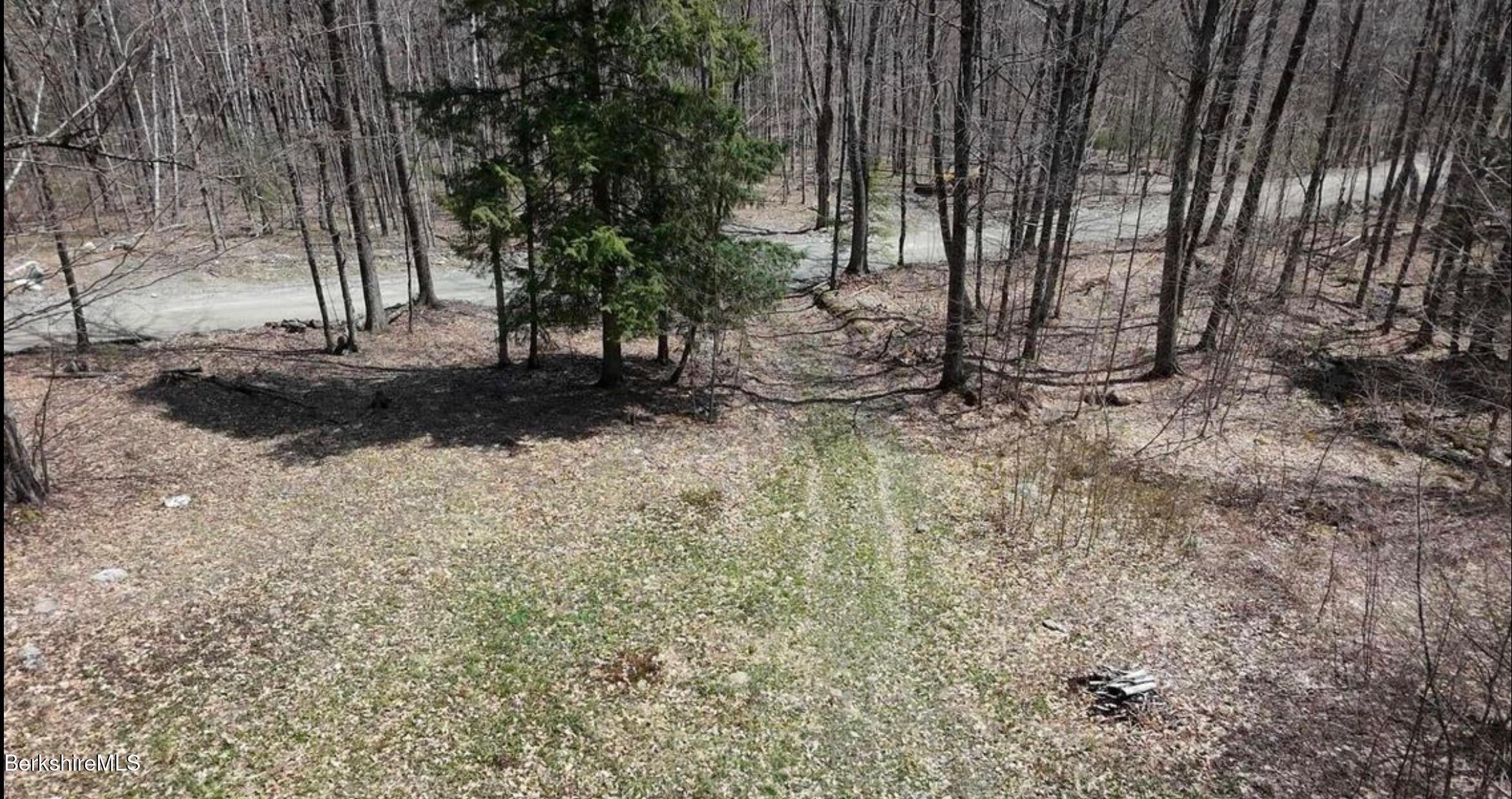 Old Orebed Road Lanesborough, MA 01237 - Photo 2 of 4 a view of backyard space