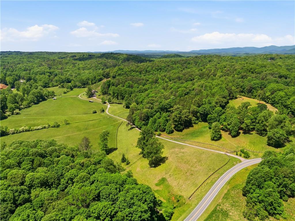 619 Hamp Mill Road Dahlonega, GA 30533 - Photo 2 of 118