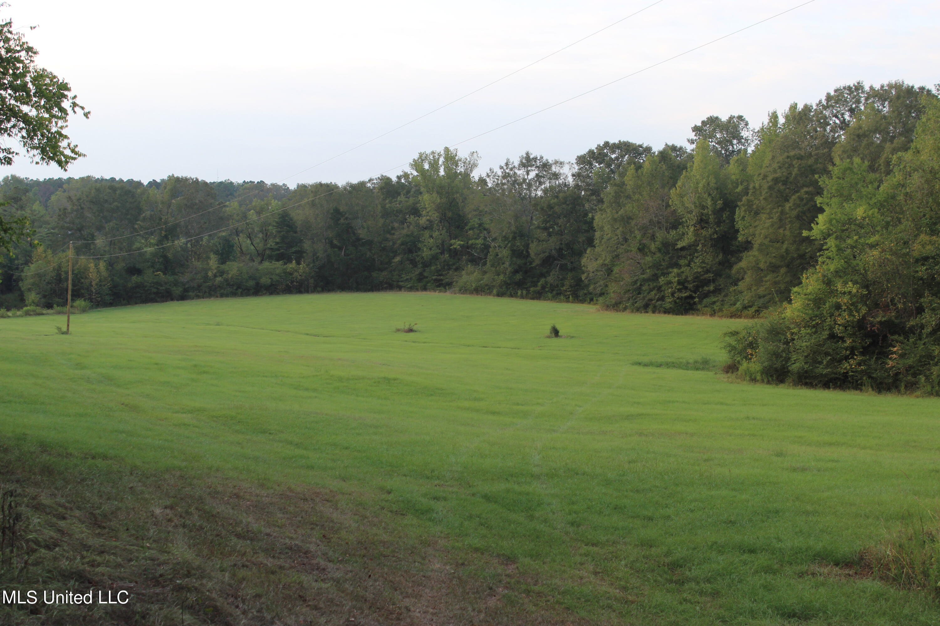 Pasture
