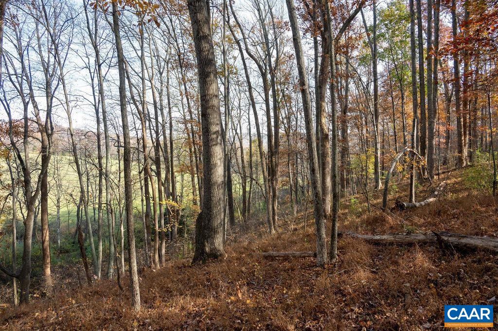 Tbd Red Hill Road Charlottesville, VA 22903 - Photo 34 of 50 a view of outdoor space with lots of trees