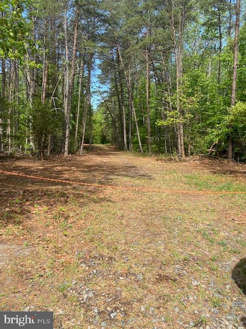 0 Carters Gate Road Ruther Glen, VA 22546 - Photo 1 of 6 Gallery Image 1