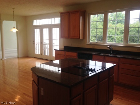 4471 Hillside Drive Akron, OH 44321 - Photo 7 of 25 Large center island and eat in area with access to beautiful yard through french doors.