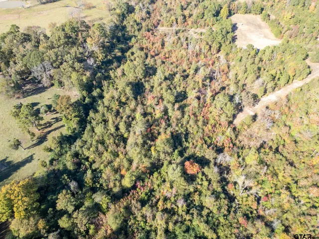 a view of a plant with a plant