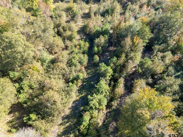 $125,000 | 43 East Henderson Tx 75652, Henderson, TX 75652