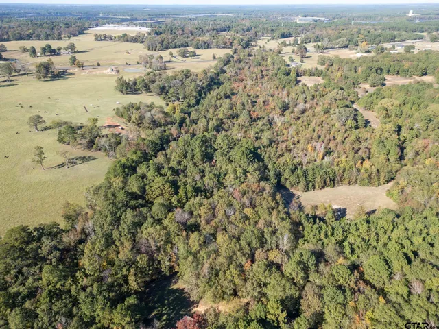 an aerial view of mountain with beach