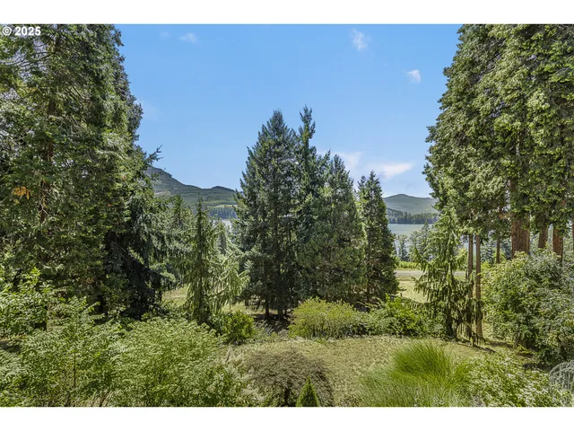 a view of a large yard with lots of green space